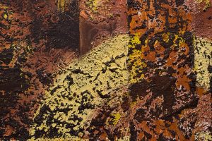 Huellas Entrelazadas